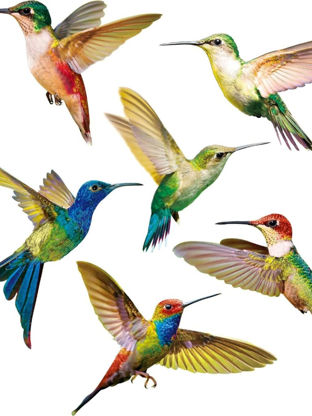 6 Pieces Hummingbird Window Decal Bird Sticker Strike Prevent Cling